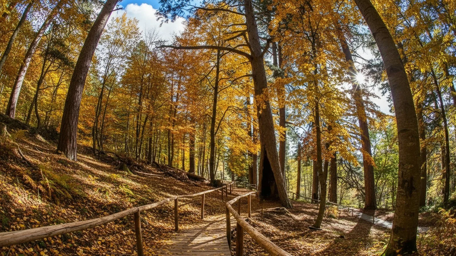 Parco Nazionale della Sila