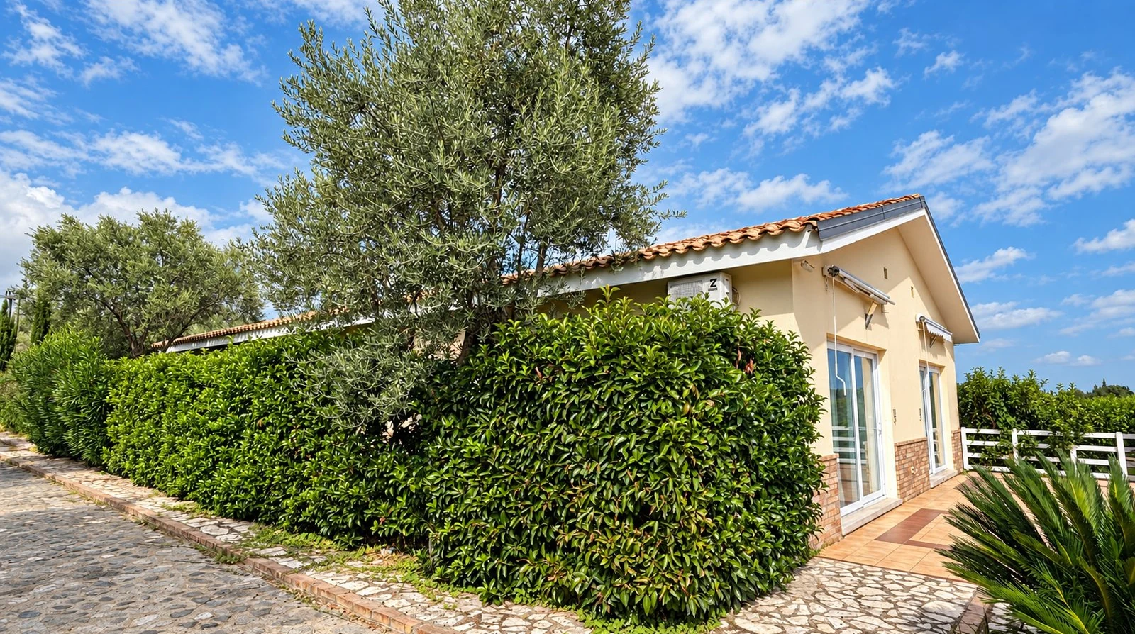 Villa Grande — foto 5